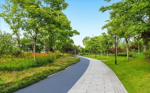 園林景觀中道路與鋪裝的系統(tǒng)性設(shè)計(jì)與施工要旨